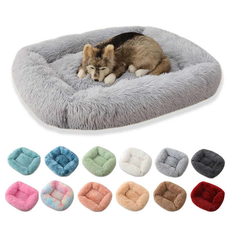 Cama para Cachorros e Gatos