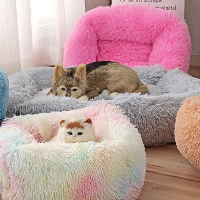 Cama para Cachorros e Gatos